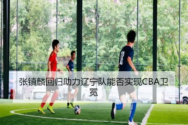 张镇麟回归助力辽宁队能否实现CBA卫冕